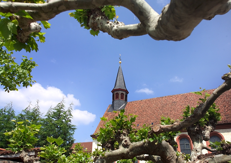 Kloster St. Magdalena Stadt Speyer