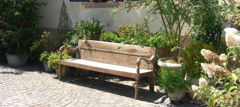 The long bench