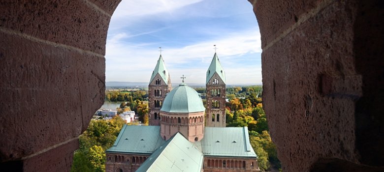 View from the observation deck on the east towers