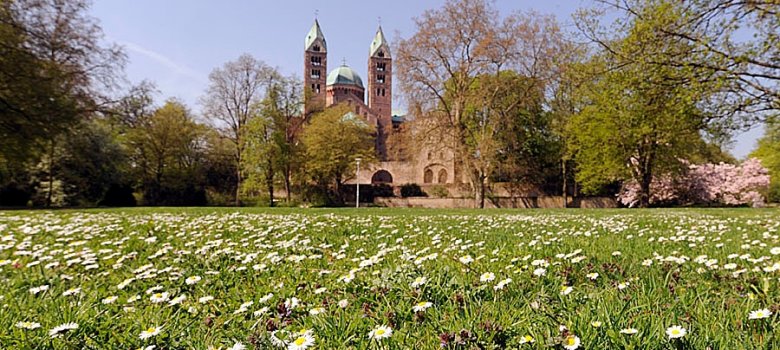 Cathedral Garden