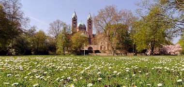 Cathedral Garden