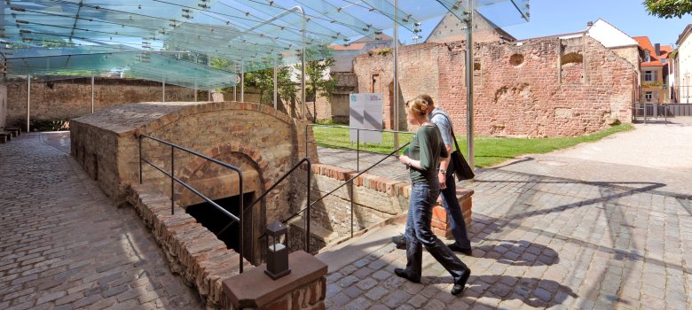 Innenstadt Speyer Landschaft