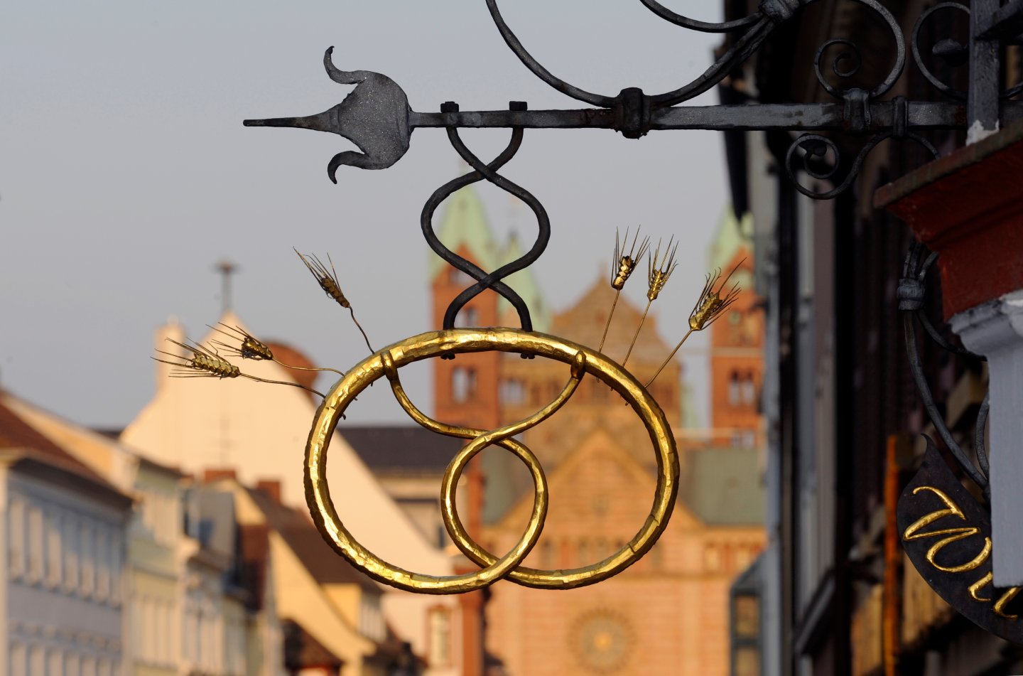 Innenstadt Speyer Landschaft