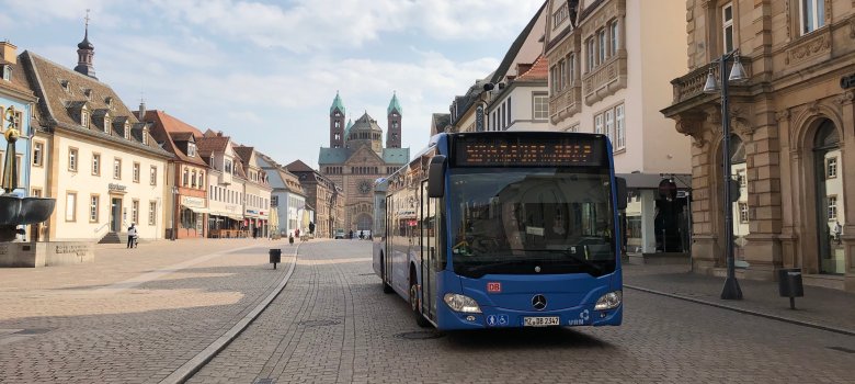 Bus auf der Maximilianstraße