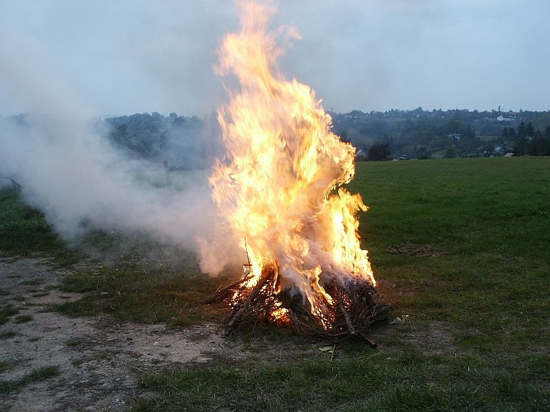 Verbrennung von Grünschnitt