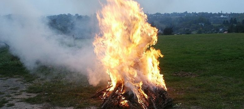 Verbrennung von Grünschnitt