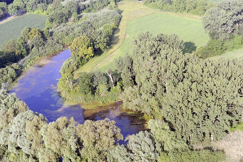 Altrhein Luftaufnahme