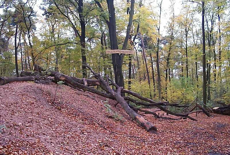 Naturnaher Walderlebnisraum, 1. Richtweg