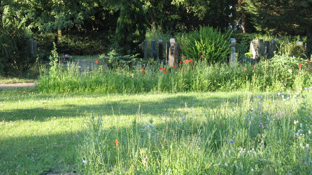 Insektenfreundliches Beet auf dem Friedhof Speyer