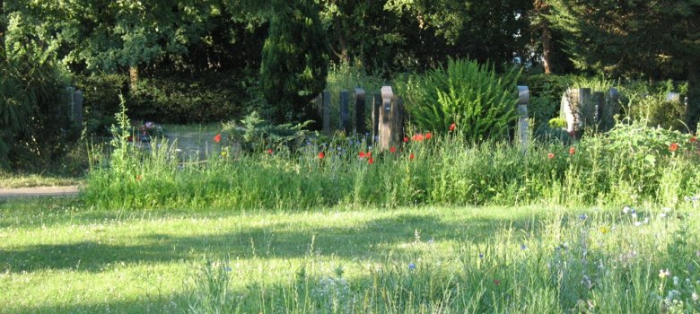 Insektenfreundliches Beet auf dem Friedhof Speyer