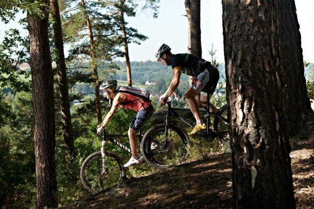 Palatinate Forest mountain bike park