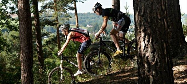 Palatinate Forest mountain bike park