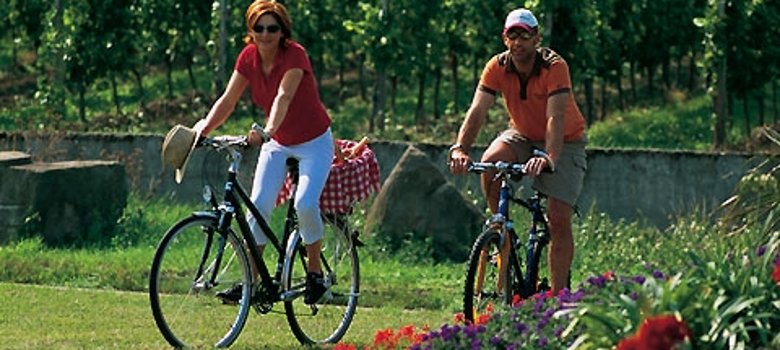 Radfahren in den Weinbergen