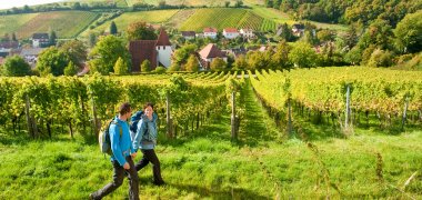 Palatinate wine trail near Leinsweiler