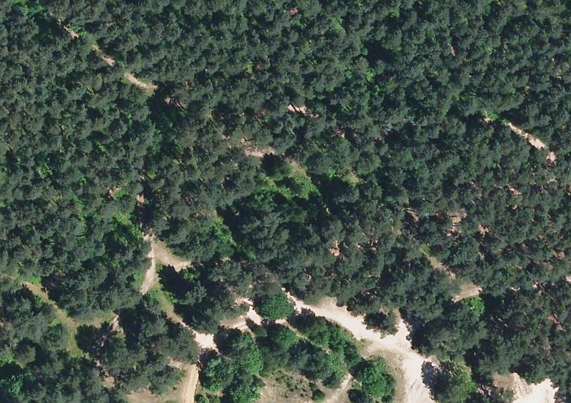 Stadtwald aus der Vogelperspektive