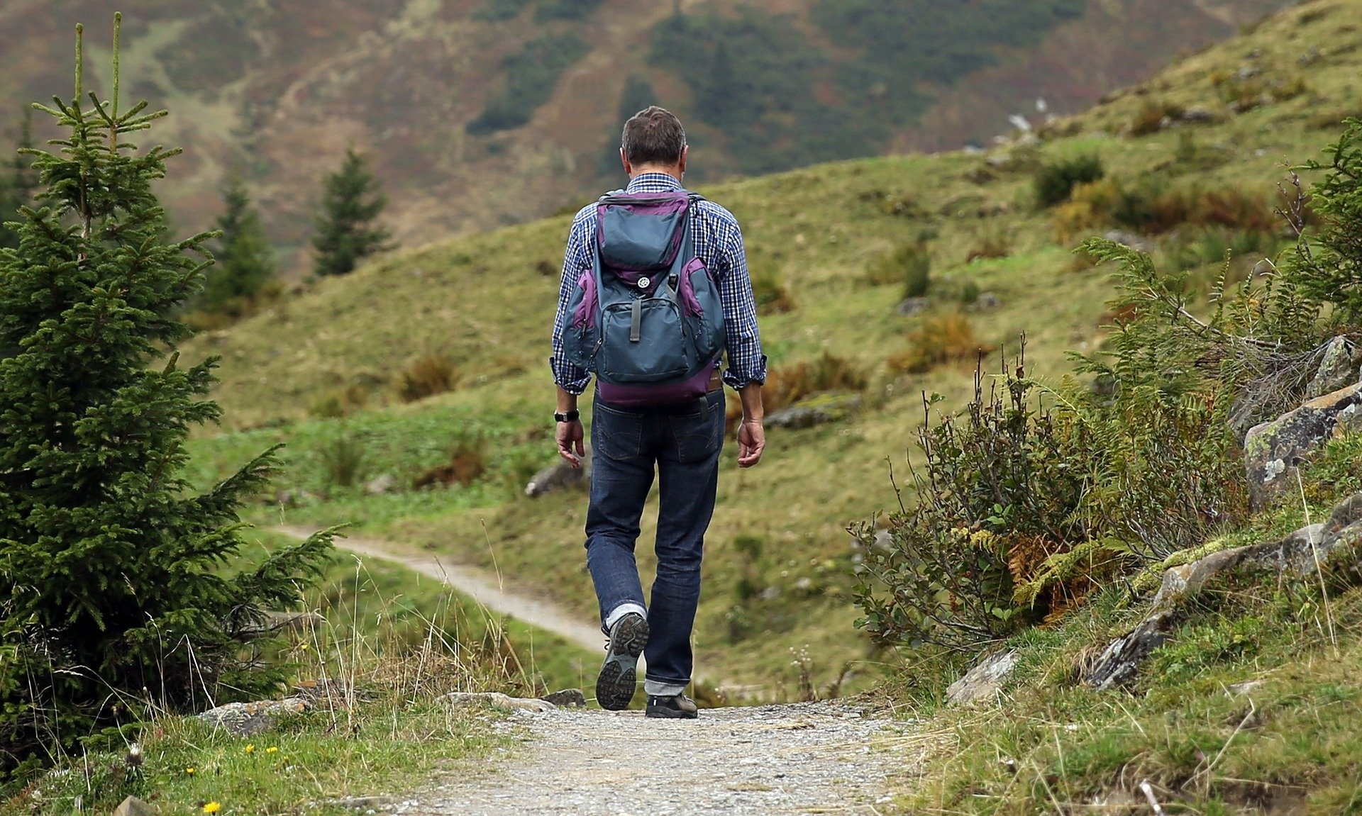 Hiker on hiking trail Hiker on hiking trail