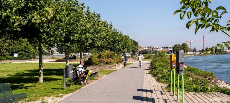 Blick bei sommerlichen Wetter mit ziemlich bewölktem Himmel von der alten Speyerer Rheinbrücke über den Rhein auf die Rheinuferpromenade Speyer, die mit ihrer Platanenalle und den Gaststätten zum spazieren und verweilen einlädt