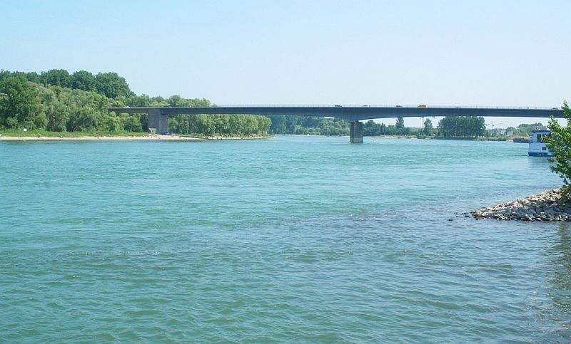 Rhein mit Blick auf die Salierbrücke
