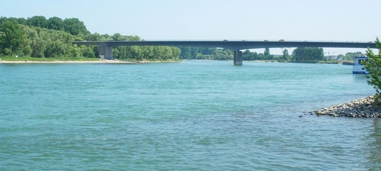 Rhein mit Blick auf die Salierbrücke