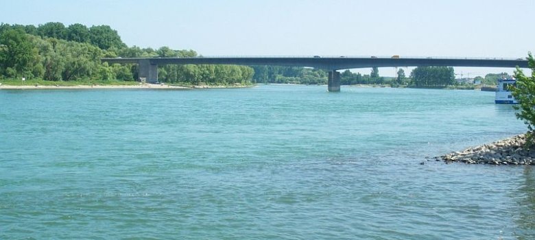 Rhein mit Blick auf die Salierbrücke