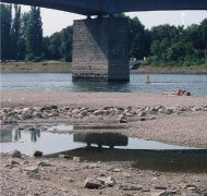 Niedrigwasser Rhein bei Speyer