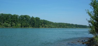Rhein, am Floßhafen Blickrichtung Norden