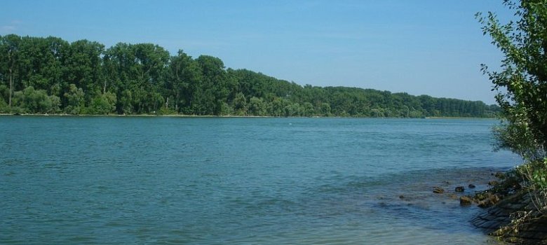 Rhein, am Floßhafen Blickrichtung Norden