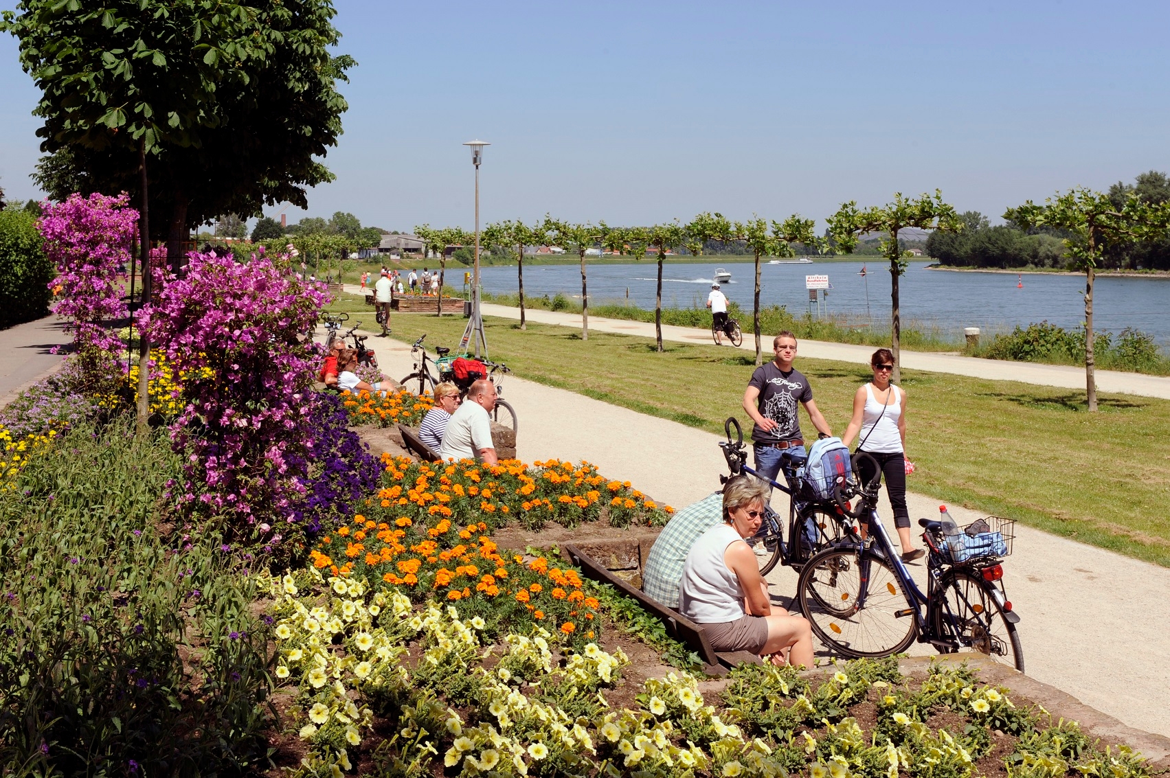 Rhine bank cyclists
