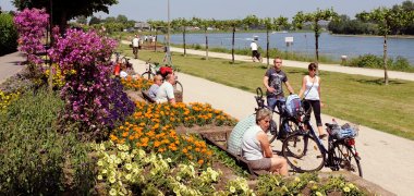 Rhine bank cyclists
