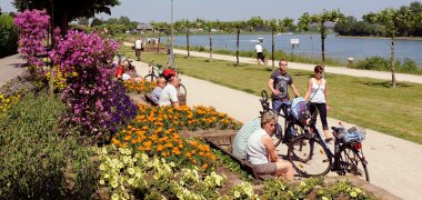 Rhine bank cyclists
