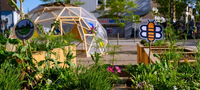 Urbaner Garten udn geodätische Kuppel auf dem St.-Guido-Stifts-Platz