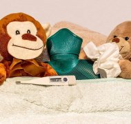Kuscheltiere mit Taschentuch
