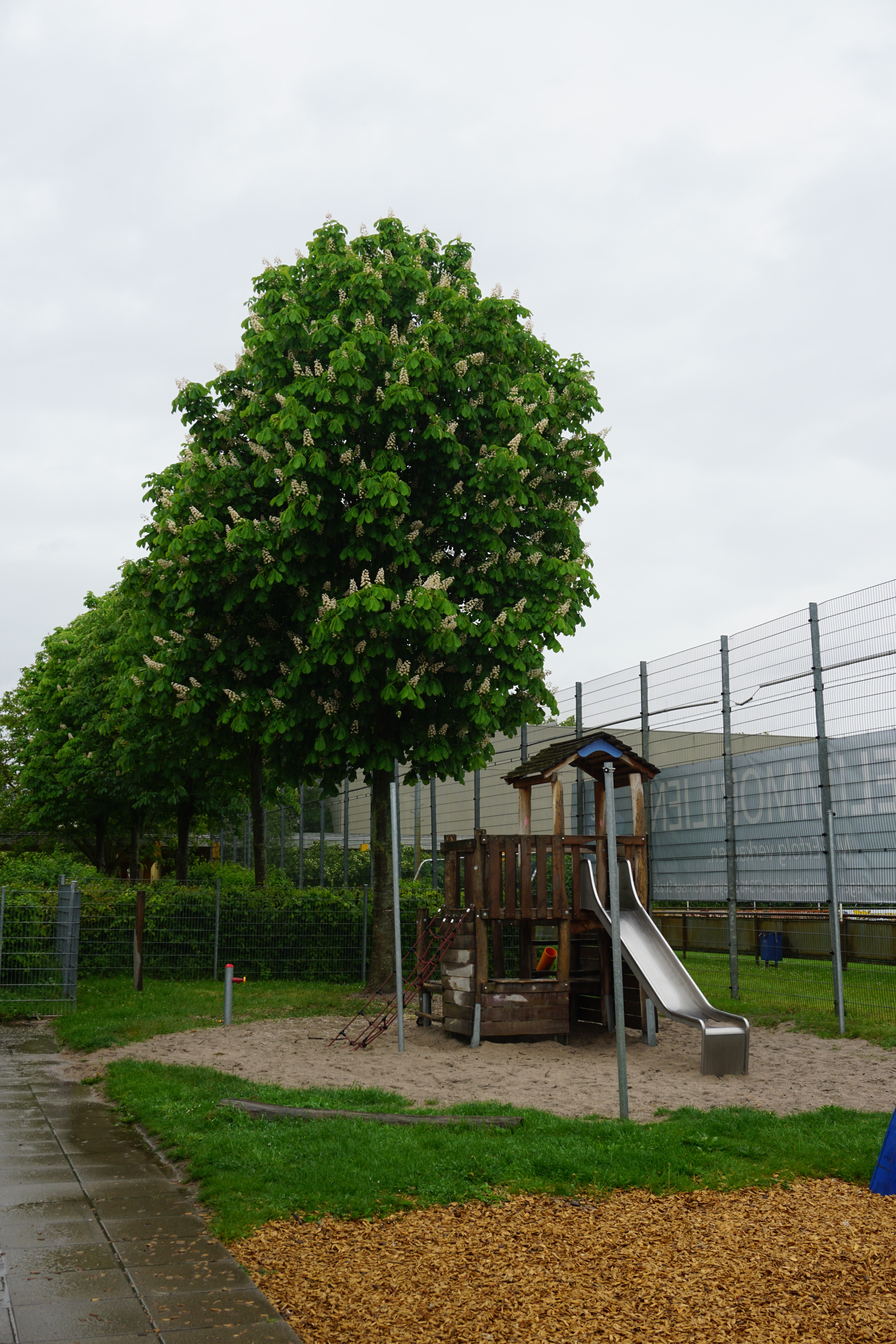 Klettergerüst mit Baum