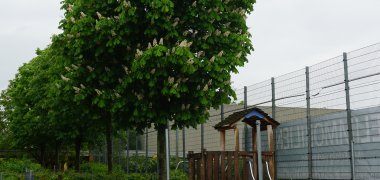 Klettergerüst mit Baum
