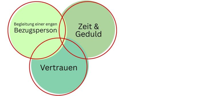 Dein Abschnittstext - 1