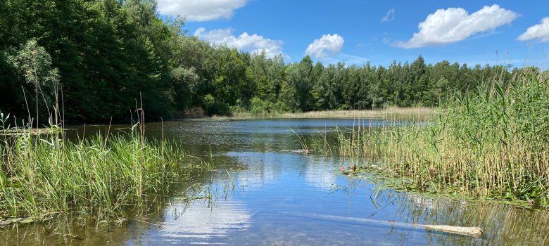 Termine Kita Regenbogen