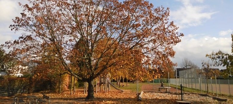 Herbststimmung im Außengelände