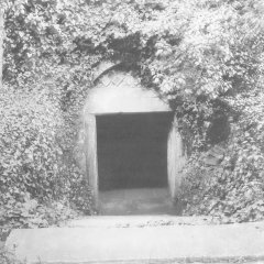 Efeuüberwucherter Eingang zur Mikwe in den 1930er Jahren. Abzug einer Glasplatte.