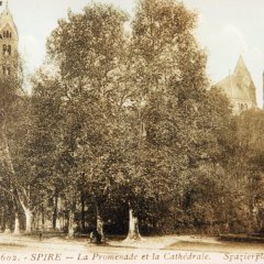 Eigenwillige Ansichtskarte des Doms mit Domplatz, vor 1910.