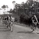 Radrennen auf der Straße nach Iggelheim 1936