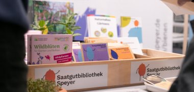 © Stadtbibliothek Speyer
