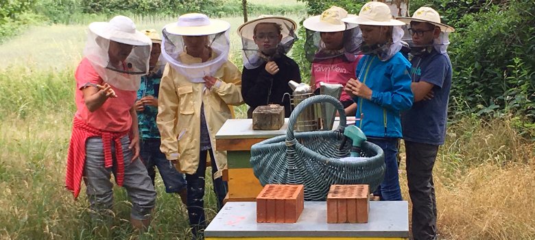Bienenexkursion
