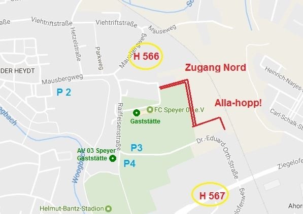 Stadtplanauszug mit Parkflächen