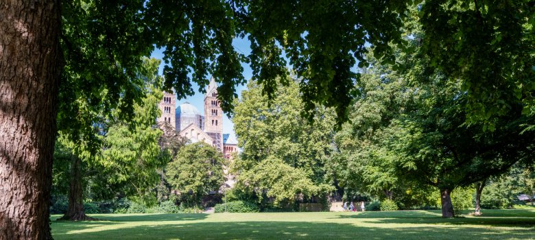 Domgarten Speyer Domgarten Speyer