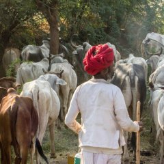 Indien