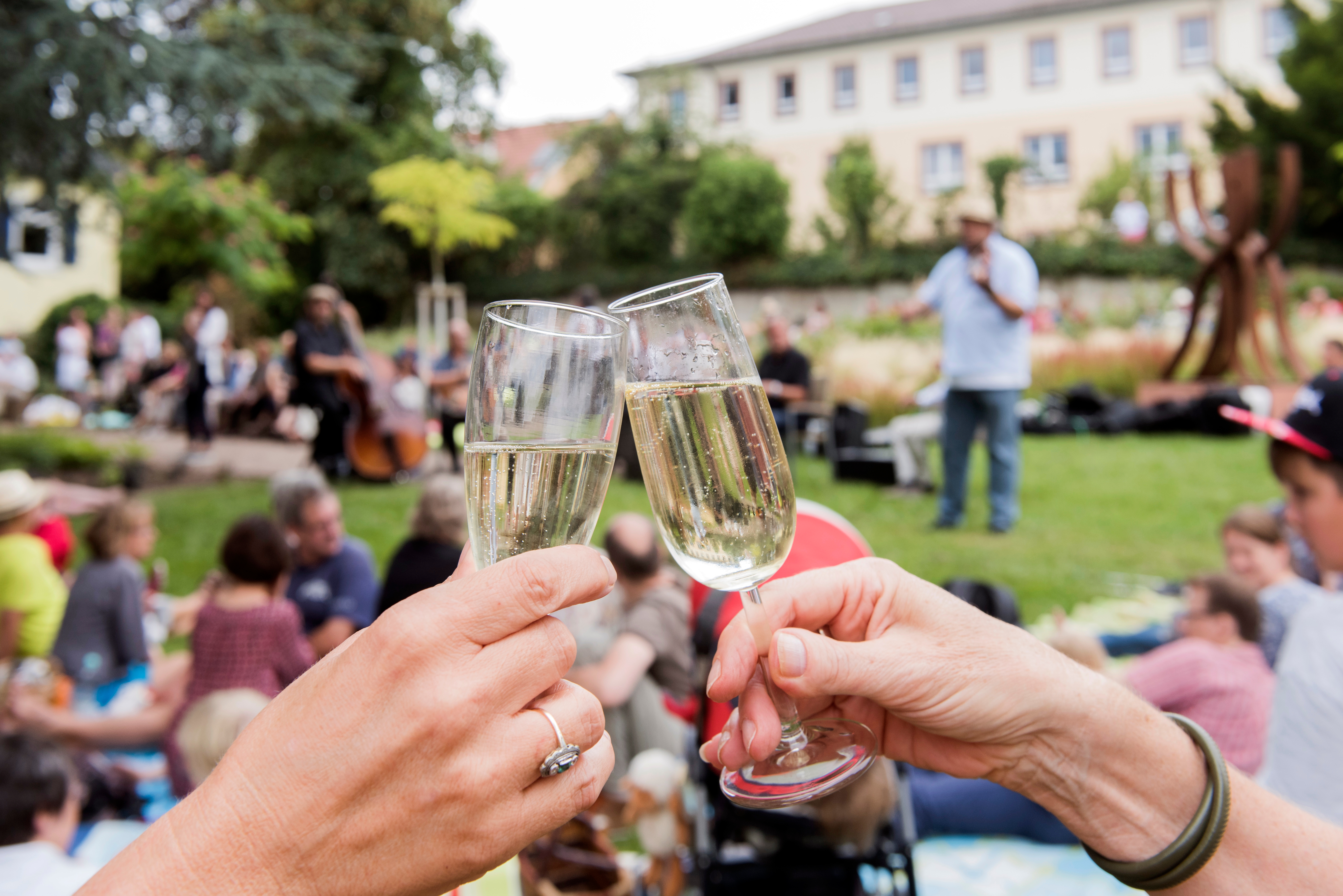 Picknickkonzert - Garten am Weidenberg 2016