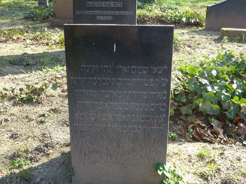 ???i18n.translate: de.plugin.graveEditor.image.label module: common.common.lib.structuredData.graves???