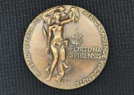 Verdienstmedaille