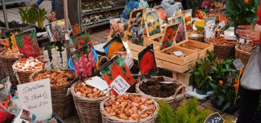 Garten- und Pflanzenmarkt 2024