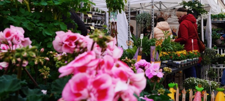 Garten- und Pflanzenmarkt 2024